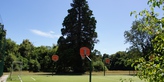 Terrain de sport