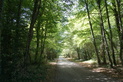 Promenade