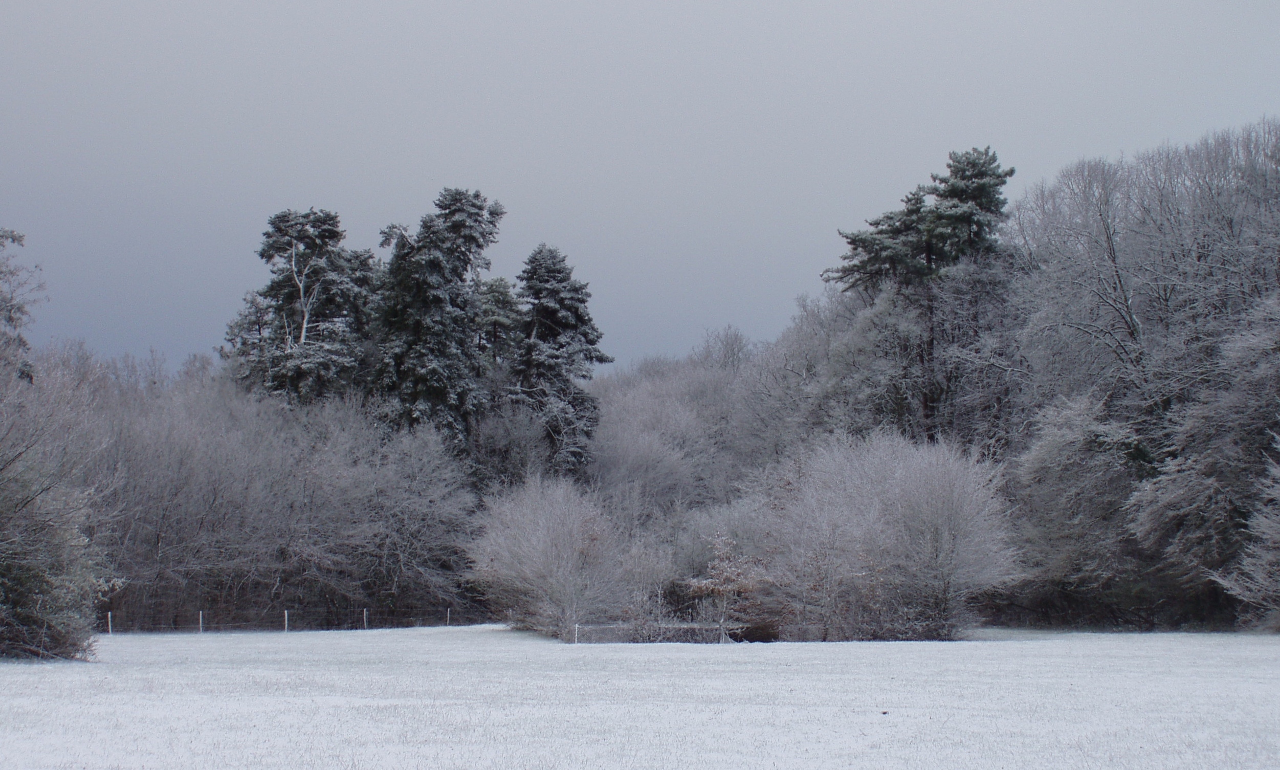 Parc sud en hiver 2