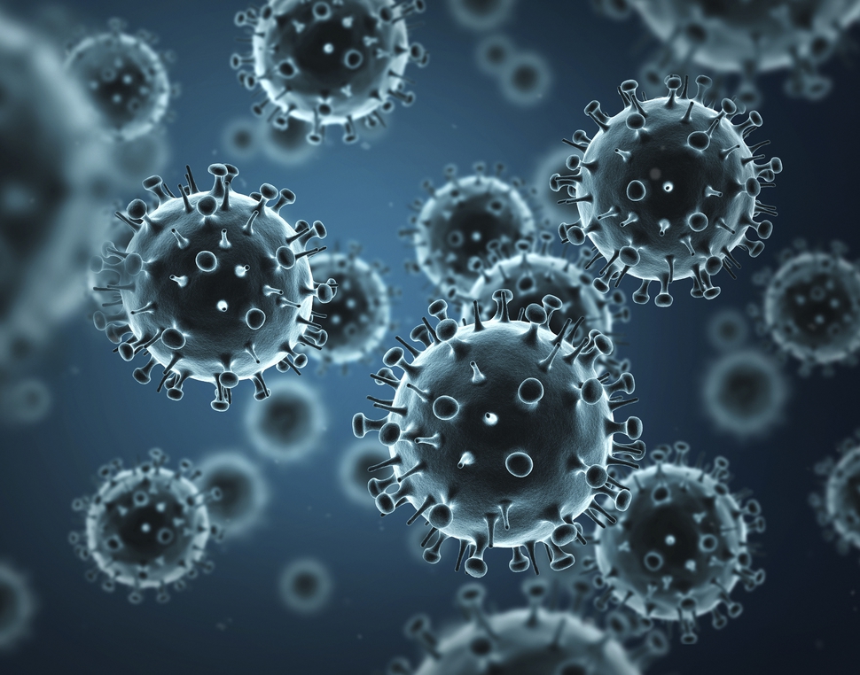 Vaccinvirus